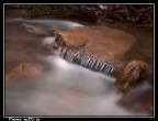 F8,00 t.e. 5,00 sec iso 80