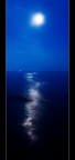 Vertical Moon