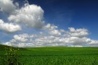 Windows XP