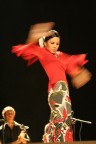 notte di flamenco a Hinojosa del Duque, in provincia di Cordoba