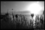 ...porto#7...