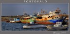 sono stato attratto dalla colorazione di queste navi e dalla loro originalit