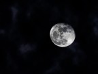 Dillo alla Luna