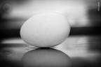 buona Pasqua