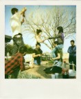 scansione da polaroid