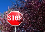 stop all'inverno