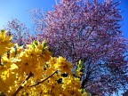 United Colors of Spring