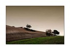 Paesaggio sardo