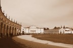 Cartolina