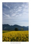 Colori della natura