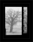 Trespass