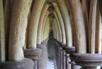 Archi