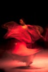 Flamenco