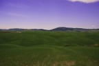 Crete senesi qualche giorno fa