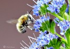 l'arrivo della primavera