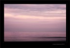 Velvet dream...