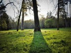 Controluce
