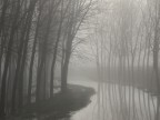 riflessi autunnali
