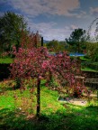 il giardino incantato