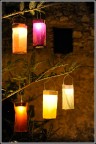 magica notte