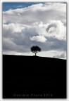 ..solitario...