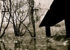 un titolo ironico dove i tre alberi in fondo hanno un fare alquanto misterioso..:)