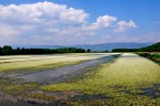 nuvole