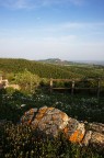 Paesaggio laziale