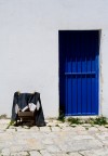 Salento