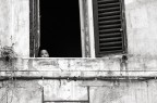 Ecco lo scatto di oggi...l'unico che si salva :)
5d + 100 f2...l'immagine  croppata a 8mpixel.

Come sempre, gradite critiche e commenti!