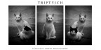 Trittico