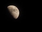 Olympus E-420 con Olympus Zuiko ED 70-300.