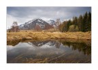 Riflessioni