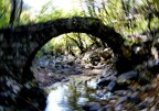 Con lo scatto ho cercato di far trasparire la difficolt che tutti i giorni noi abbiamo di fronte ad una scelta, infatti il vortice, che non  stato generato con un programma di fotoritocco ma facendo ruotare la macchina all'atto dello scatto, rappresenta a pieno questa difficolt. Il ponte rappresenta la crescita della persona: l'atto di percorrerlo ed attraversarlo rappresenta infatti la forza attiva che spinge all'azione e, per mezzo della scelta consapevole, di giungere ad un obiettivo.
