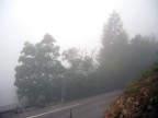 53  NEBBIA....