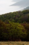 Luce soffusa su un manto di nebbia