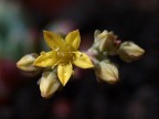 macro test