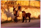 prova