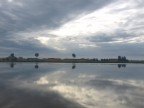 nuvole e risaie