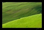 Val d'Orcia