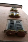 Finestrata dal basso...