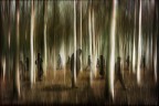 La solitudine dei numeri primi