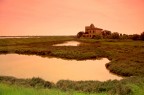 Delta del Po