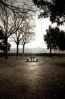 Parco del Peralto - Genova