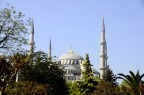 moschea blu