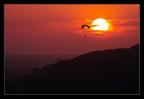 Parapendio