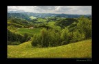 Living in the Green