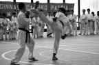 Kumite
