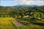 Un piccolo Paradiso
