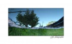 riflesso